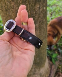 Image 2 of The Reno Collar