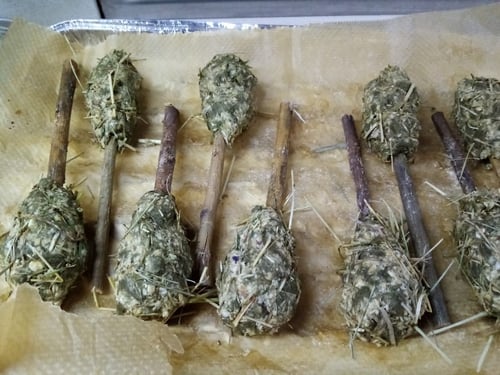 Image of Healthy Munchy treat lollipops (no oats!)