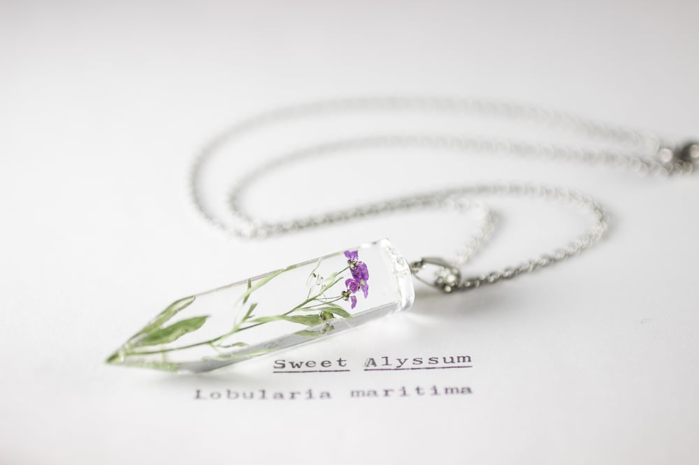 Image of Sweet Alyssum (Lobularia maritima) - Medium Crystalline Pendant #1