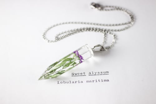 Image of Sweet Alyssum (Lobularia maritima) - Medium Crystalline Pendant #2