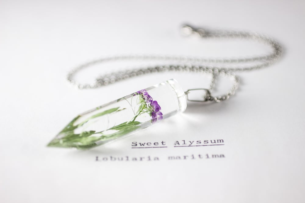Image of Sweet Alyssum (Lobularia maritima) - Medium Crystalline Pendant #2