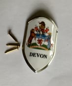 Image of Devon Coat of Arms Walking Stick Badge