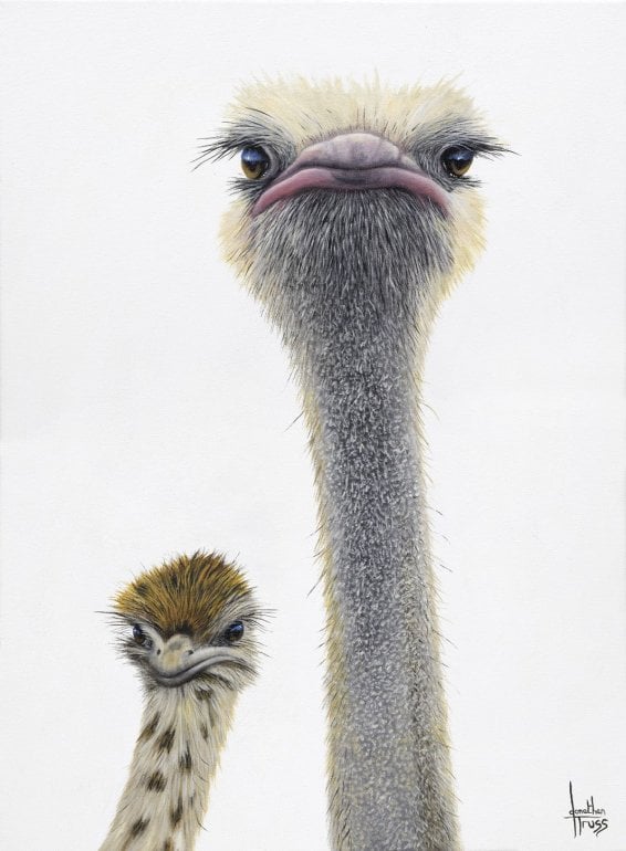 Jonathan Truss "Like Father Like Son"