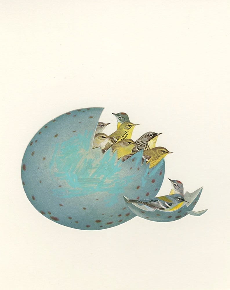 Image of Just hatched. Limited edition collage print.