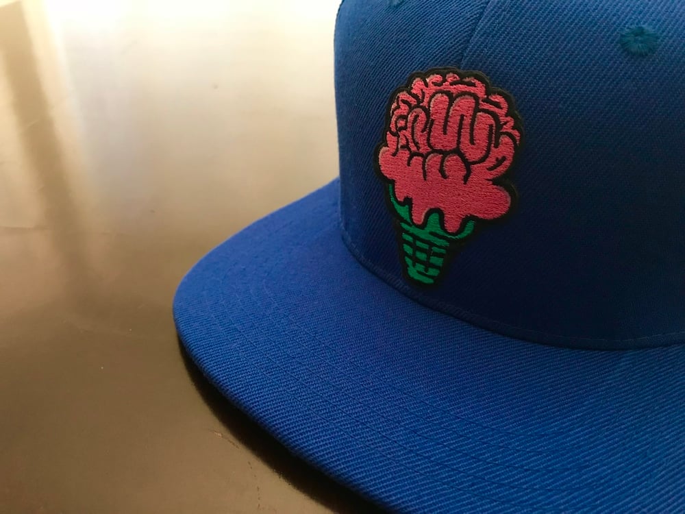 Brain Freeze Snapback [Royal]