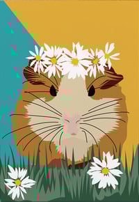 Guinea Pig Card