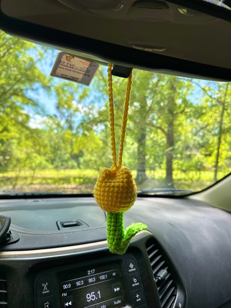 Image of tulip car hanging