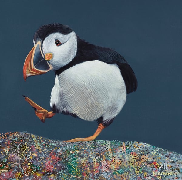 Image of Ceit Mackay puffin print