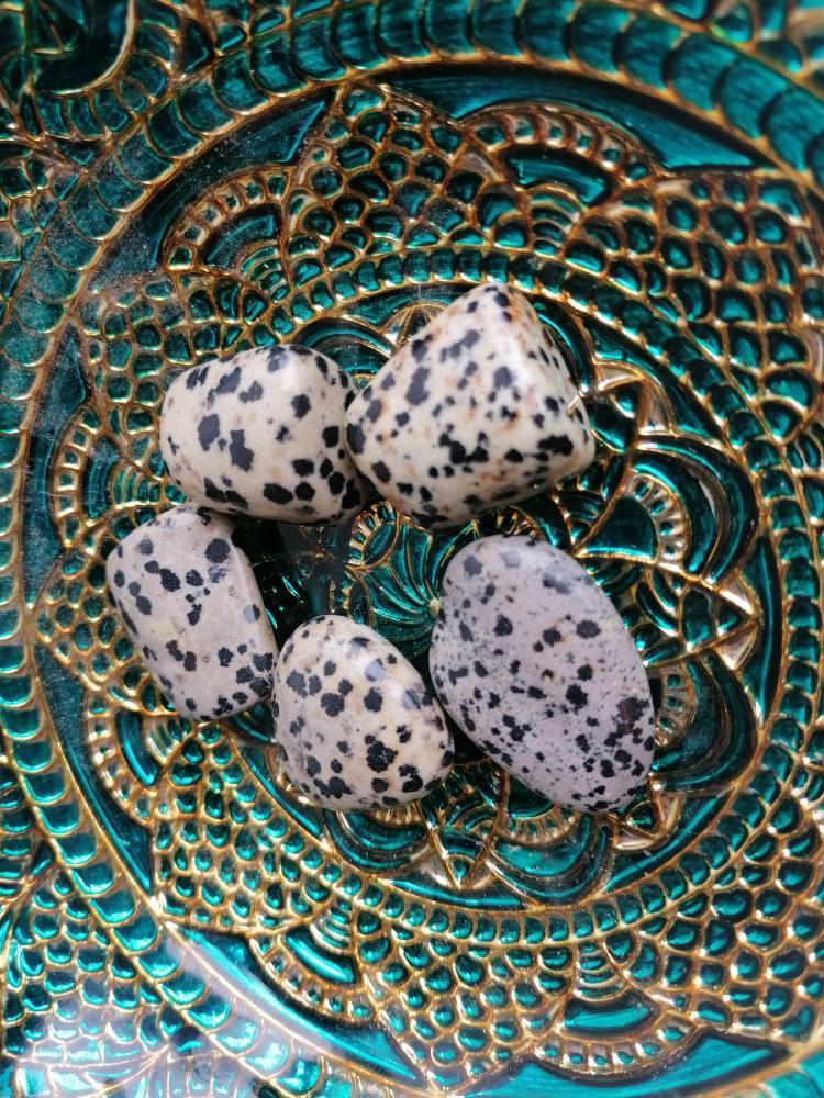 Image of Dalmatian Jasper Tumblestone 