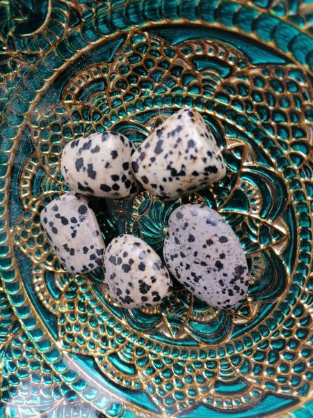 Image of Dalmatian Jasper Tumblestone 
