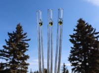 Image 5 of Bee Glass Drinking Straws 