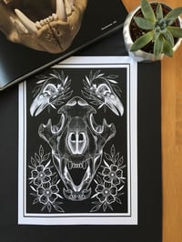 TIGER SKULL PRINT