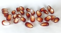 Image 1 of Medium Pomegranate Seeds