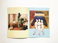 Image 2 of The domestic arts