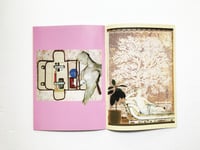 Image 3 of The domestic arts