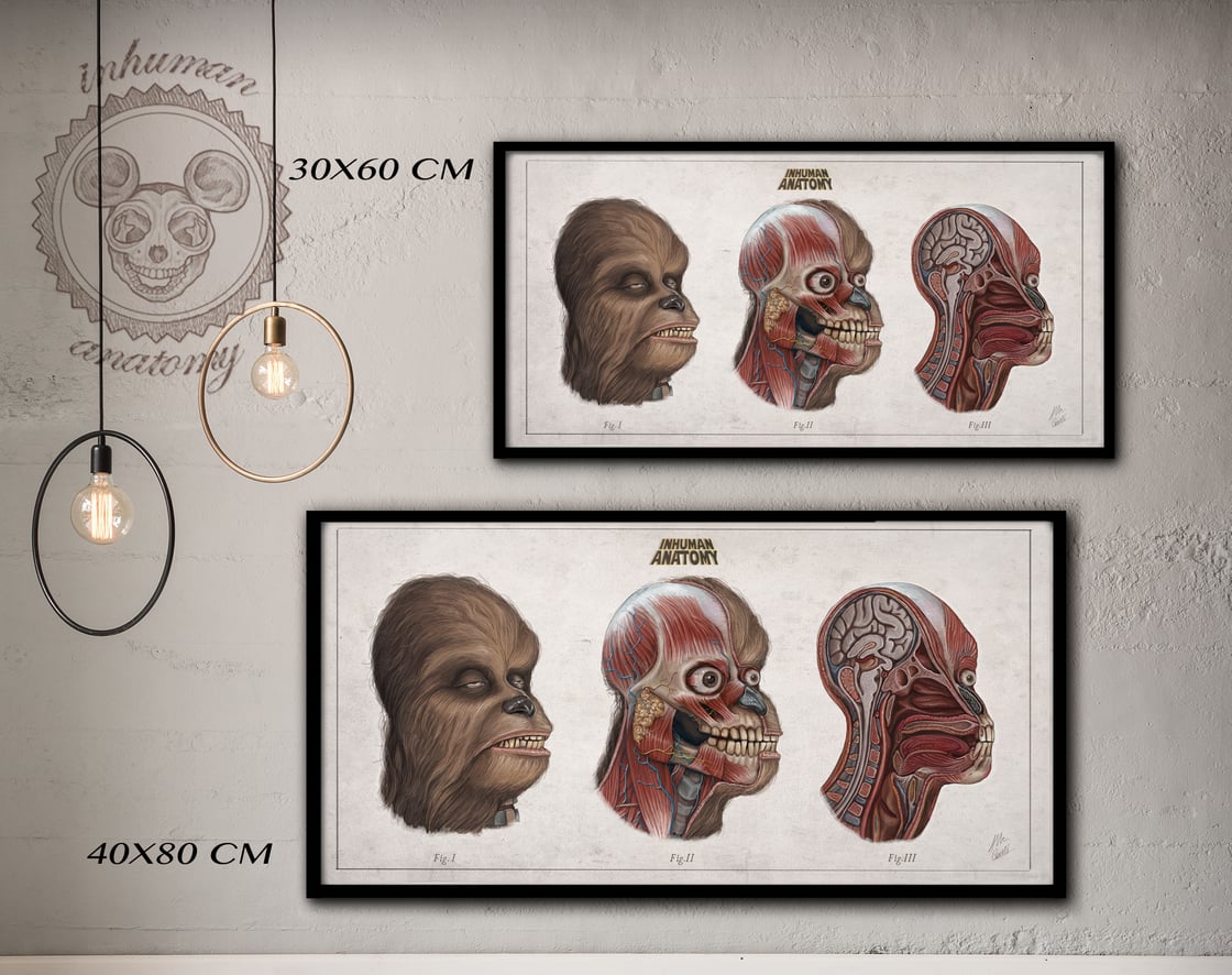 Image of CHEWBACCA-  head anatomy (limited ed. of 50 Giclèe wide print on fine art canvas)
