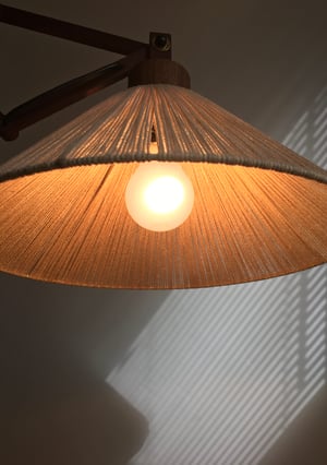 Danish scissor lamp