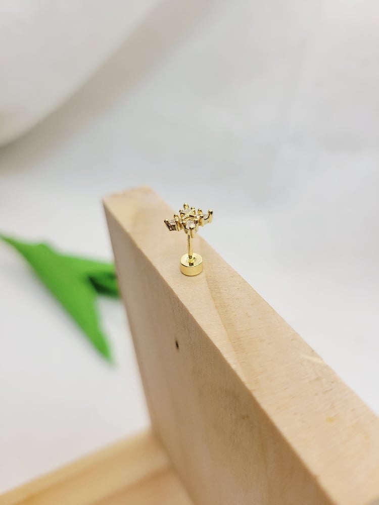 Image of Carlidge Earrings 