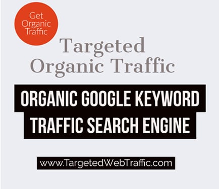 Buy Organic Website Traffic