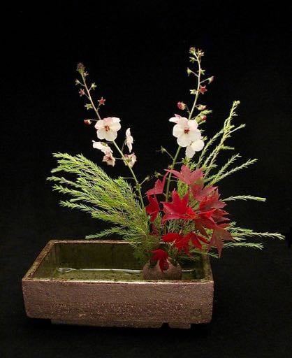 Box ikebana vase