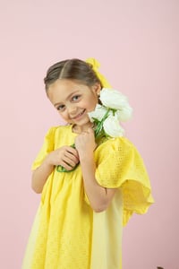 Girls Broderie Frill Dress