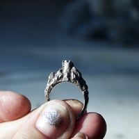 Image 5 of Castle Mountain Ring