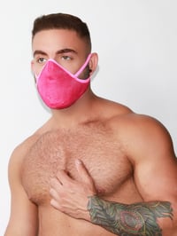 Image 3 of THE BUBBLEGUM FACEJOCK