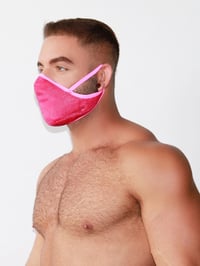 Image 2 of THE BUBBLEGUM FACEJOCK