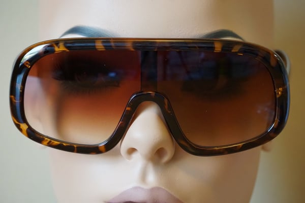 Image of ZEBRA FRAMES