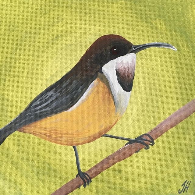 Australian Bird Original Paintings