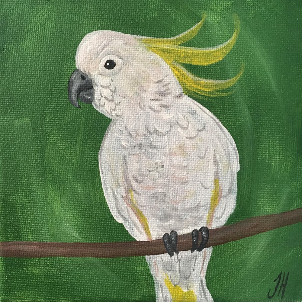 Australian Bird Original Paintings