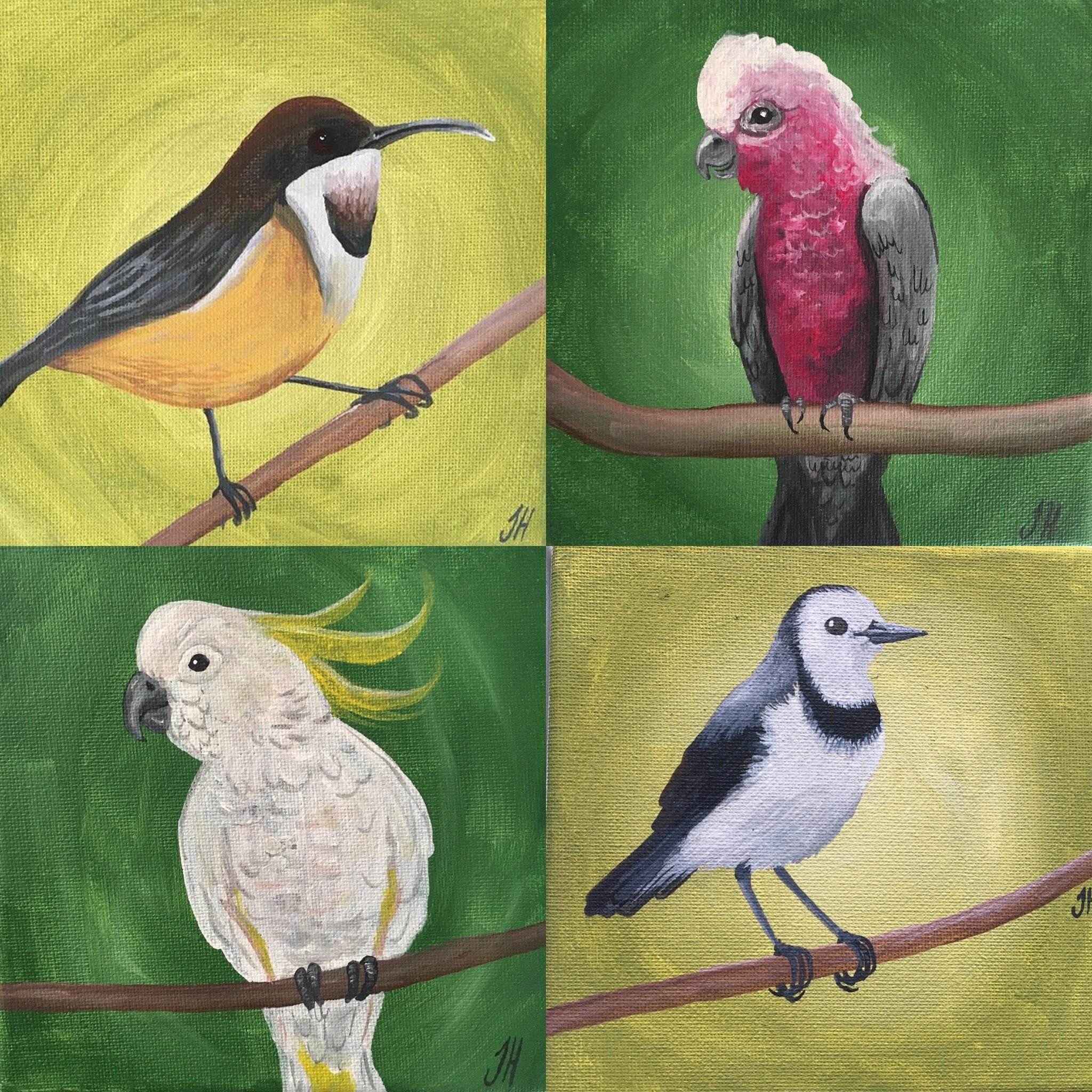 Australian Bird Original Paintings | Brush - Art Tasmania