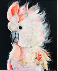 Image 1 of Penelope peach face Parrot   Original (JUST SOLD )  prints available 