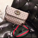 Gucci Fashion Messenger Bag.