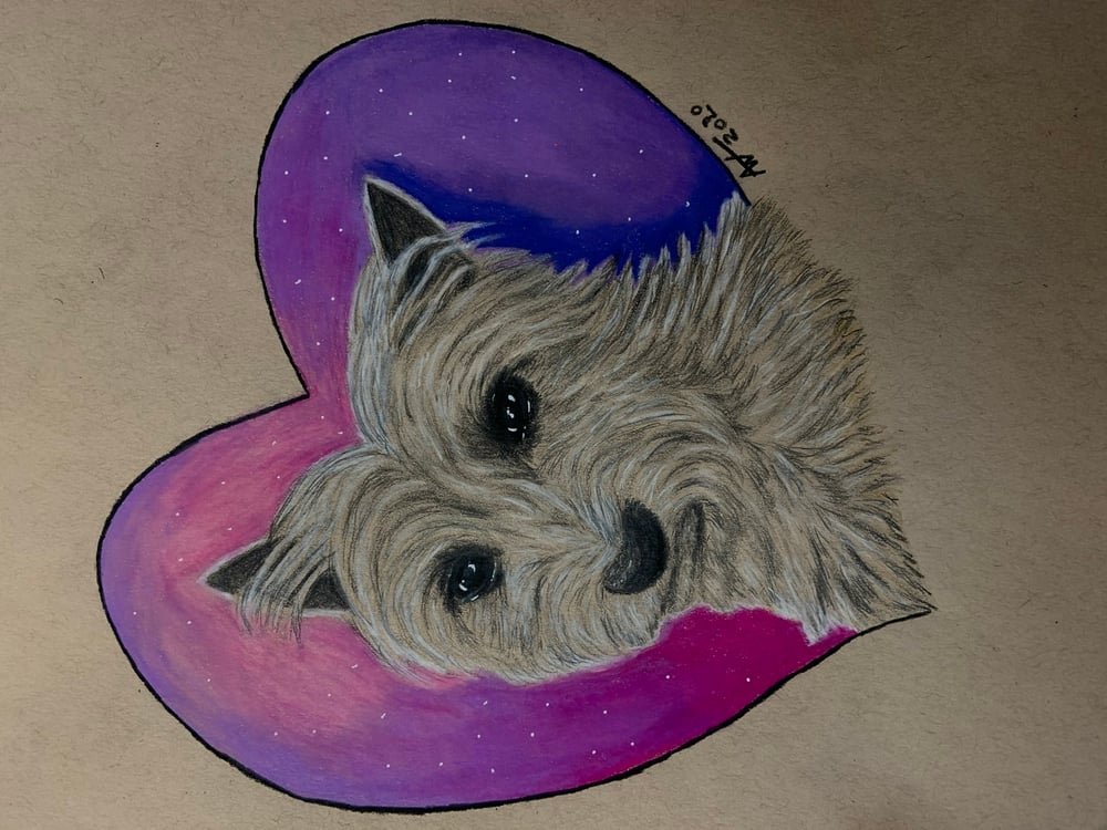 Image of Pet Commissions