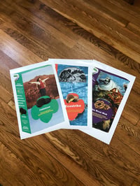 Girl Scout Cookie Collection 