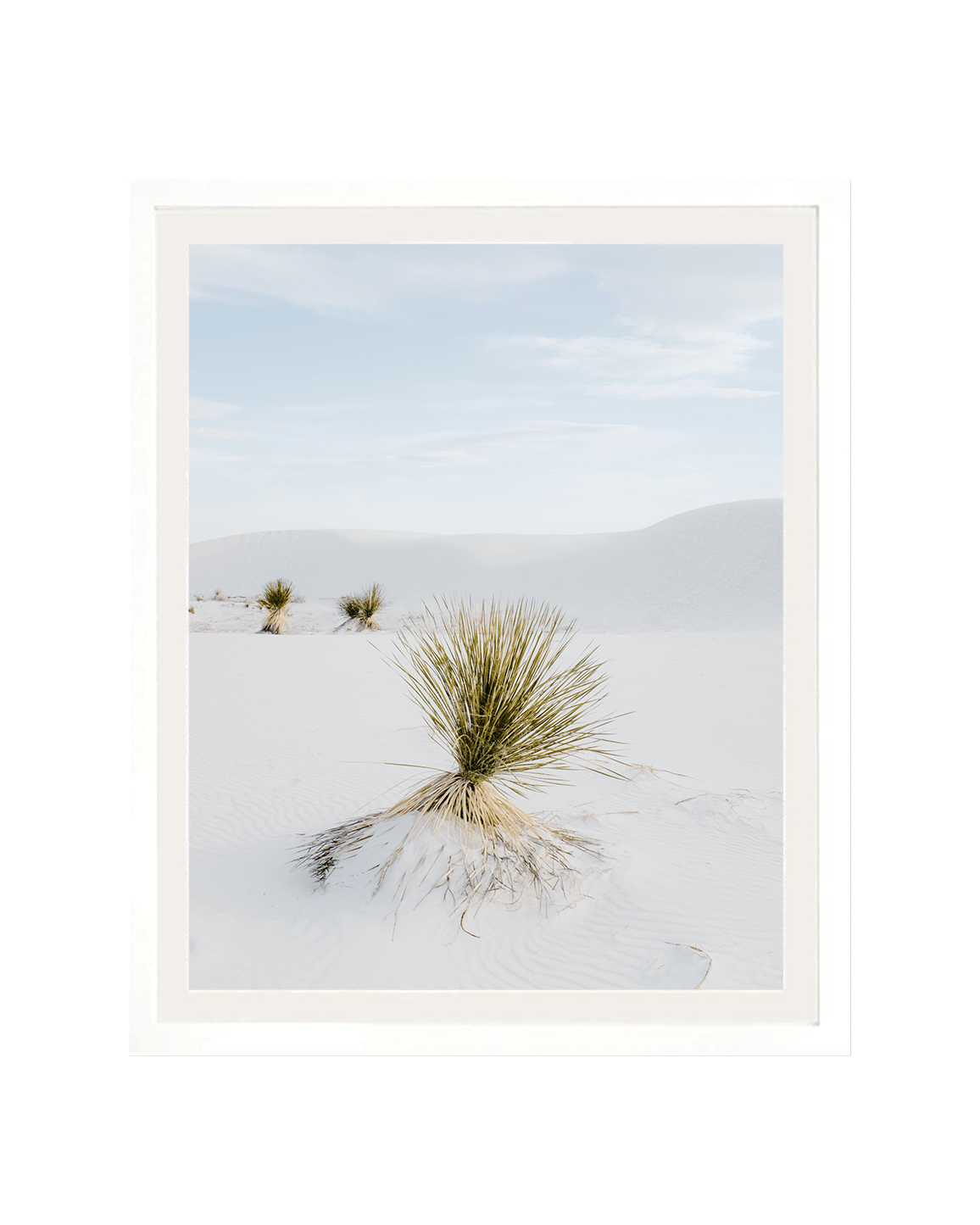 Flora x White Sands