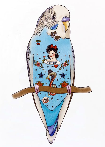 Image of Tattoo Budgie Card
