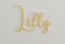 Image of Pastel acrylic script name