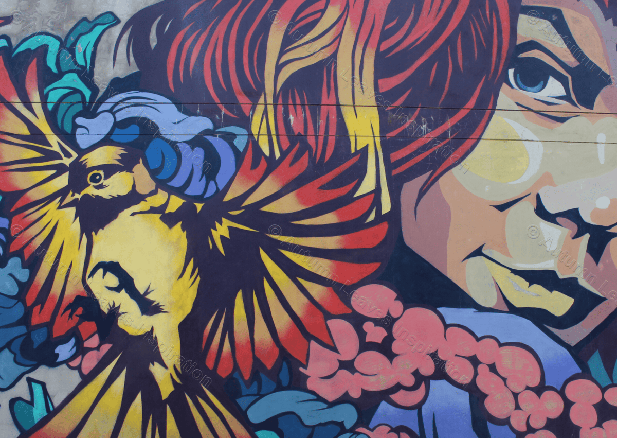 Image of AR12 Bird and Woman Street Art 