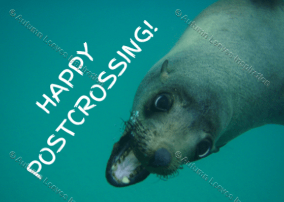 Image of P6 Seal Happy Postcrossing 