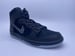 Image of NIKE SB ZOOM DUNK HIGH PRO QS