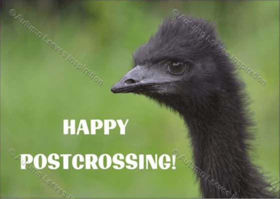 Image of P5 Emu Happy Postcrossing 