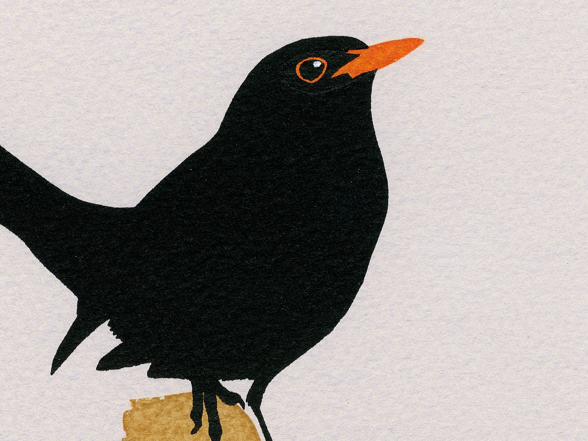 Image of Blackbird Screen Print