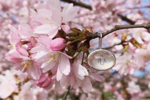 Image of "Heart/ Joy" silver earrings with rose quartz · 心 悦  ·