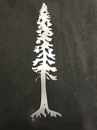 Image 2 of Pine Tree
