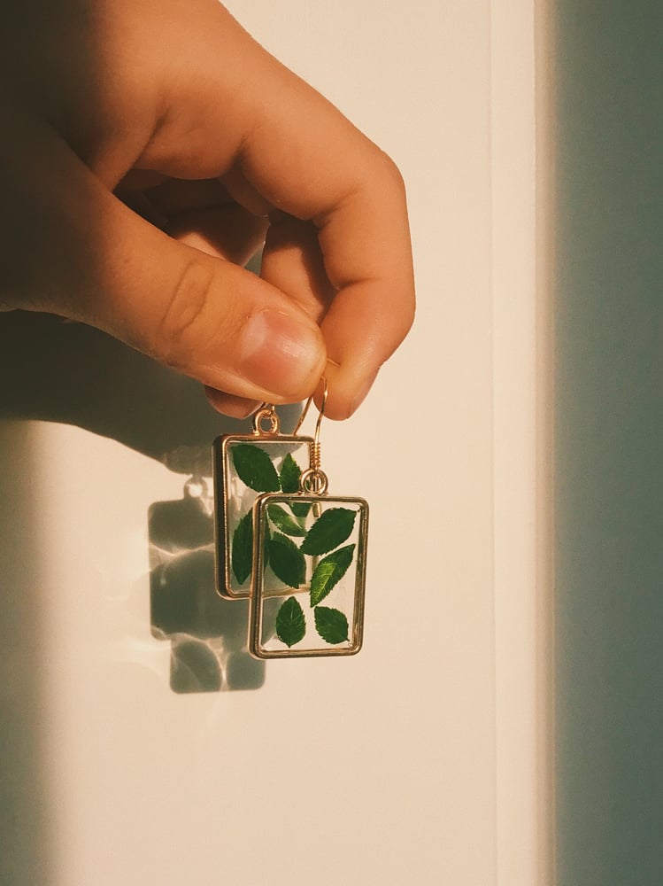 Image of leaf collection earrings