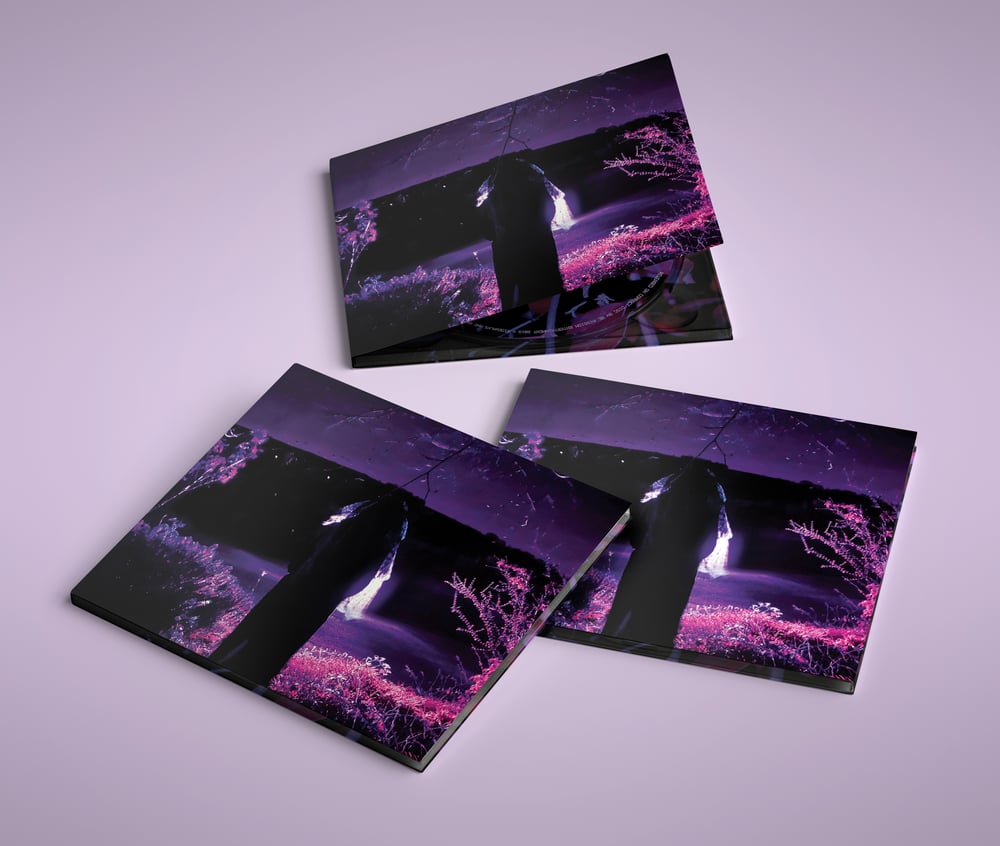 Image of Sidewalks And Skeletons 'Entity' Digipak CD 