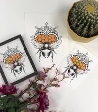 Queen Bee print 