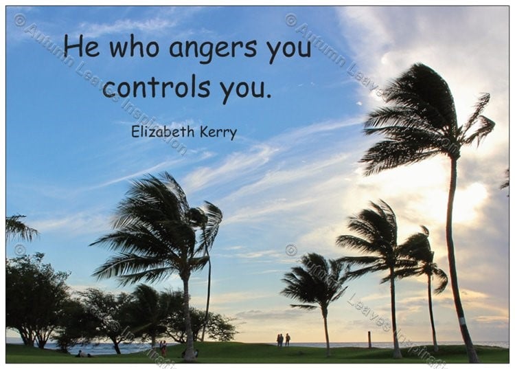 Image of Q5 Elizabeth Kerry quote